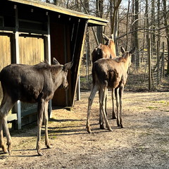 23-02-13 14-28-32 4225